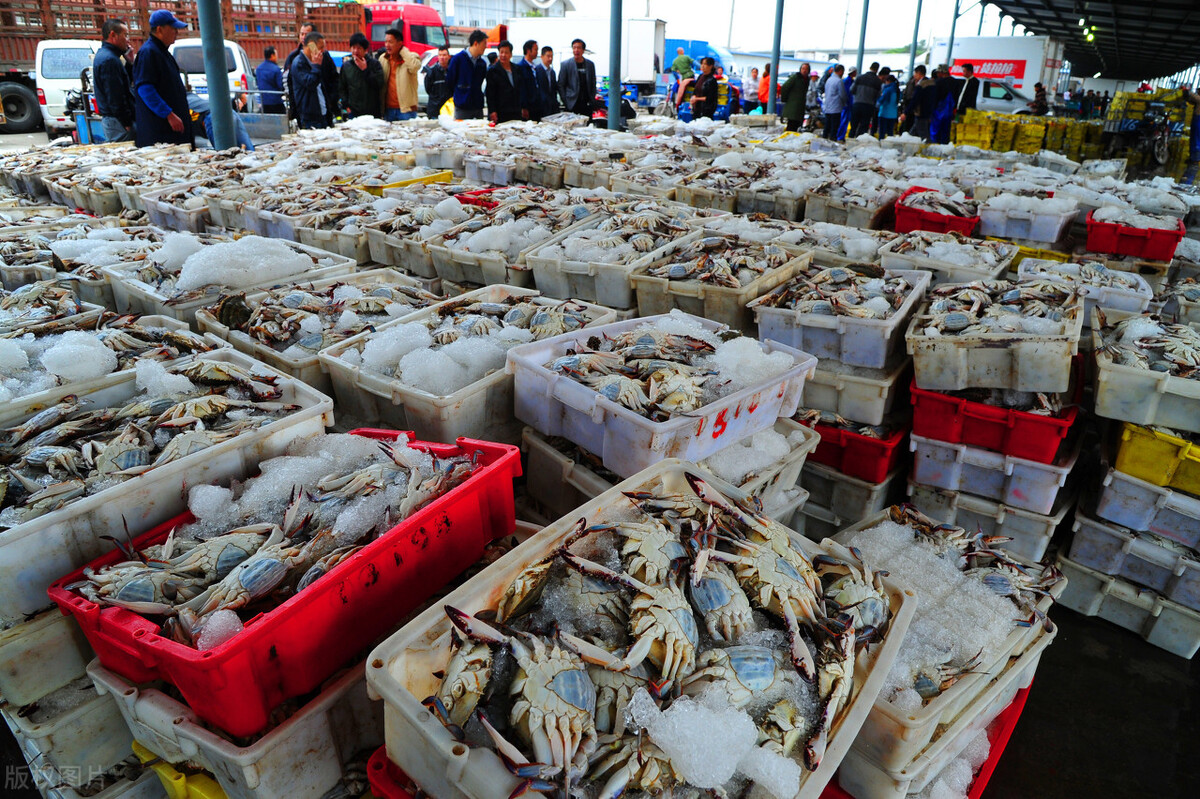 海鲜摊主“阅鱼”无数,但一次鱼刺扎伤让他“*工罢**”大半年