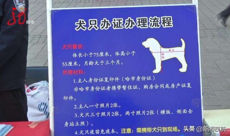 哈尔滨有关狗的政策条例,哈尔滨哪些狗不能办狗证