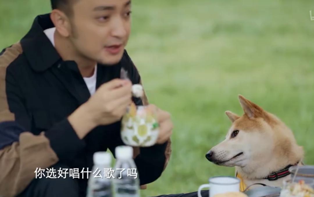 撒贝宁和尼格买提谁更有才,撒贝宁和尼格买提互怼合集