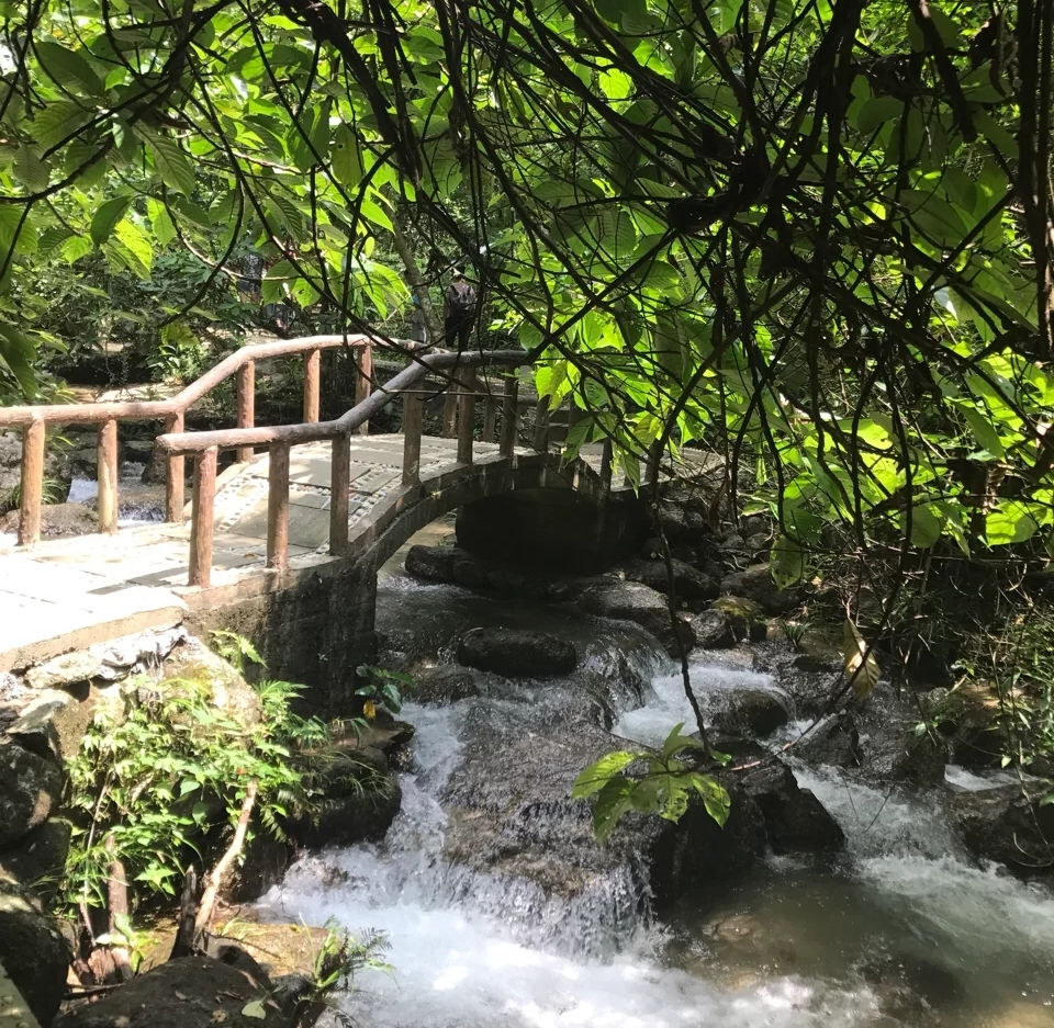 广西大容山森林公园,大容山国家森林公园免费露营