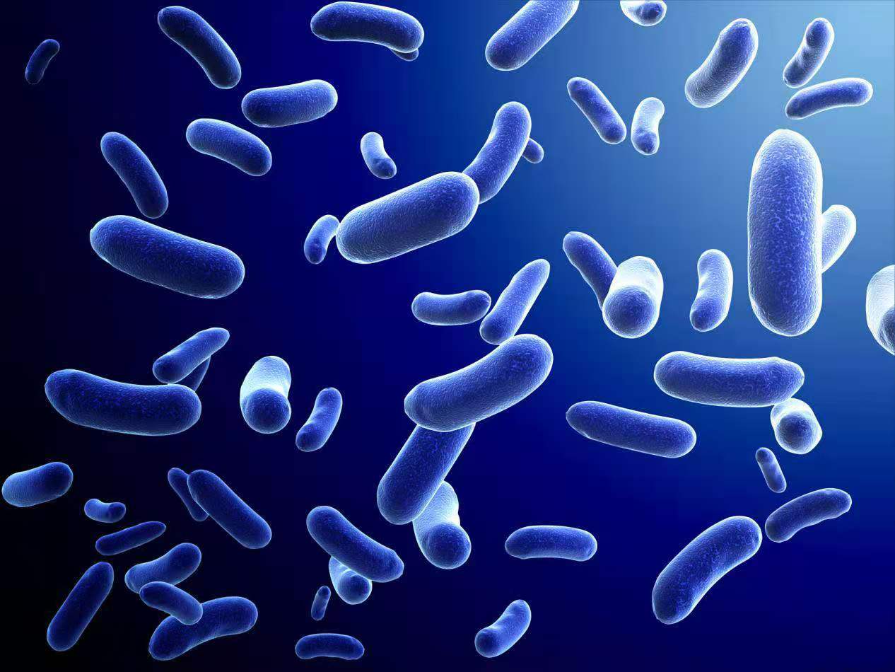 慢性肉芽肿病会导致反复感染的发生，需尽早进行相应治疗