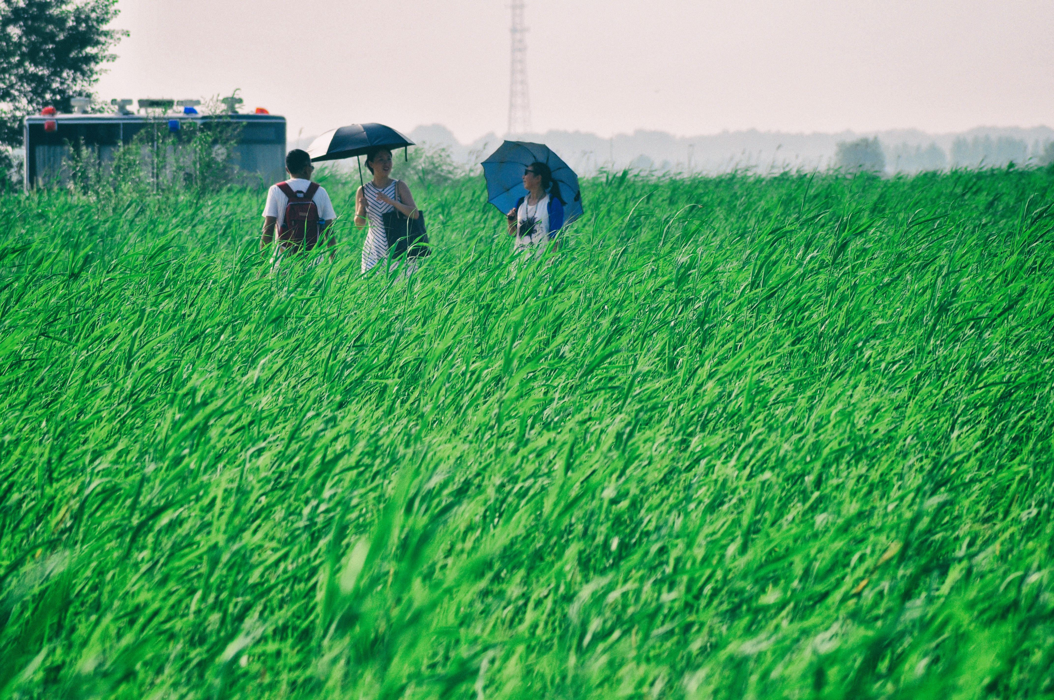 东北游记攻略,东北游记最新视频