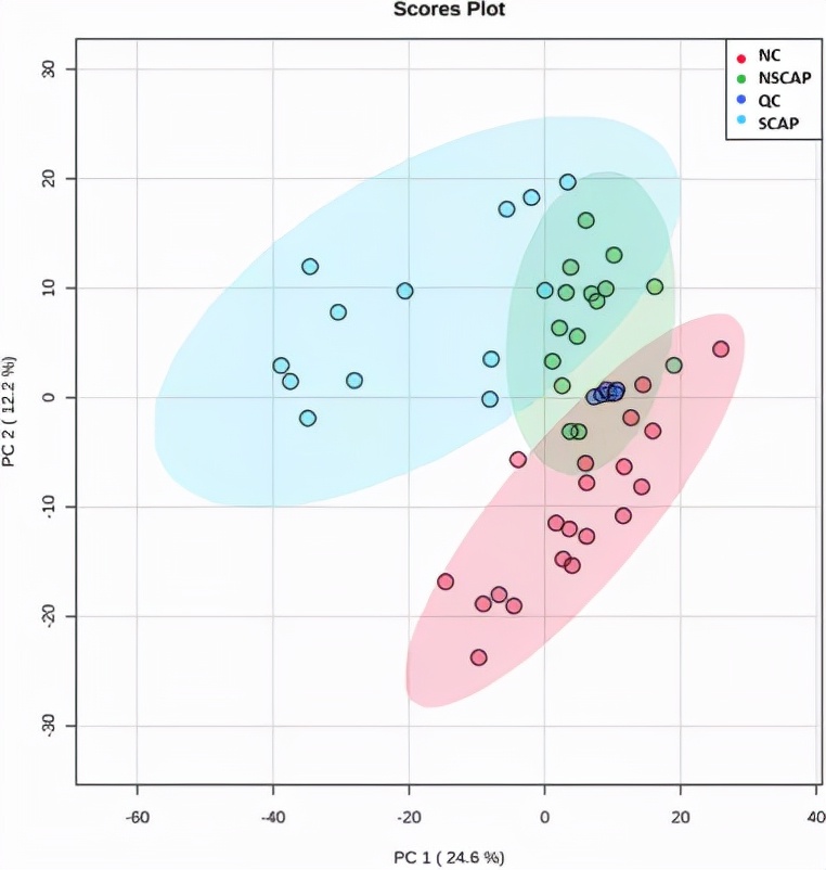 cap病原学特点,cap病原学