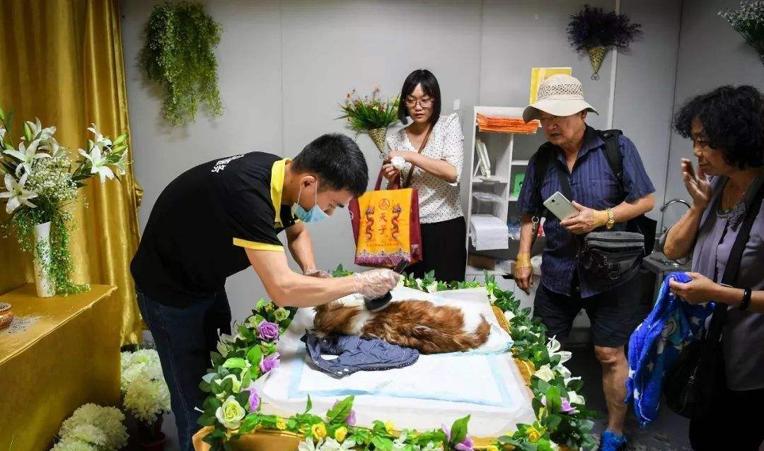 最新十五个冷门专业就业,就业率不好有哪些冷门本科专业