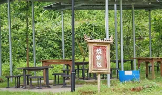 清远最美民宿和十大精品民宿,藏在清远深山老林的世外桃源民宿