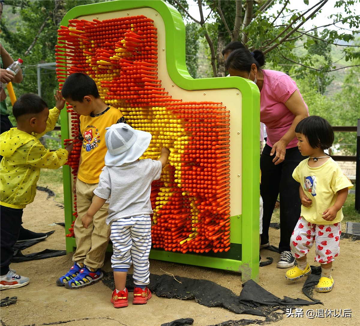 森林中的童话树屋,原始森林里的童话世界