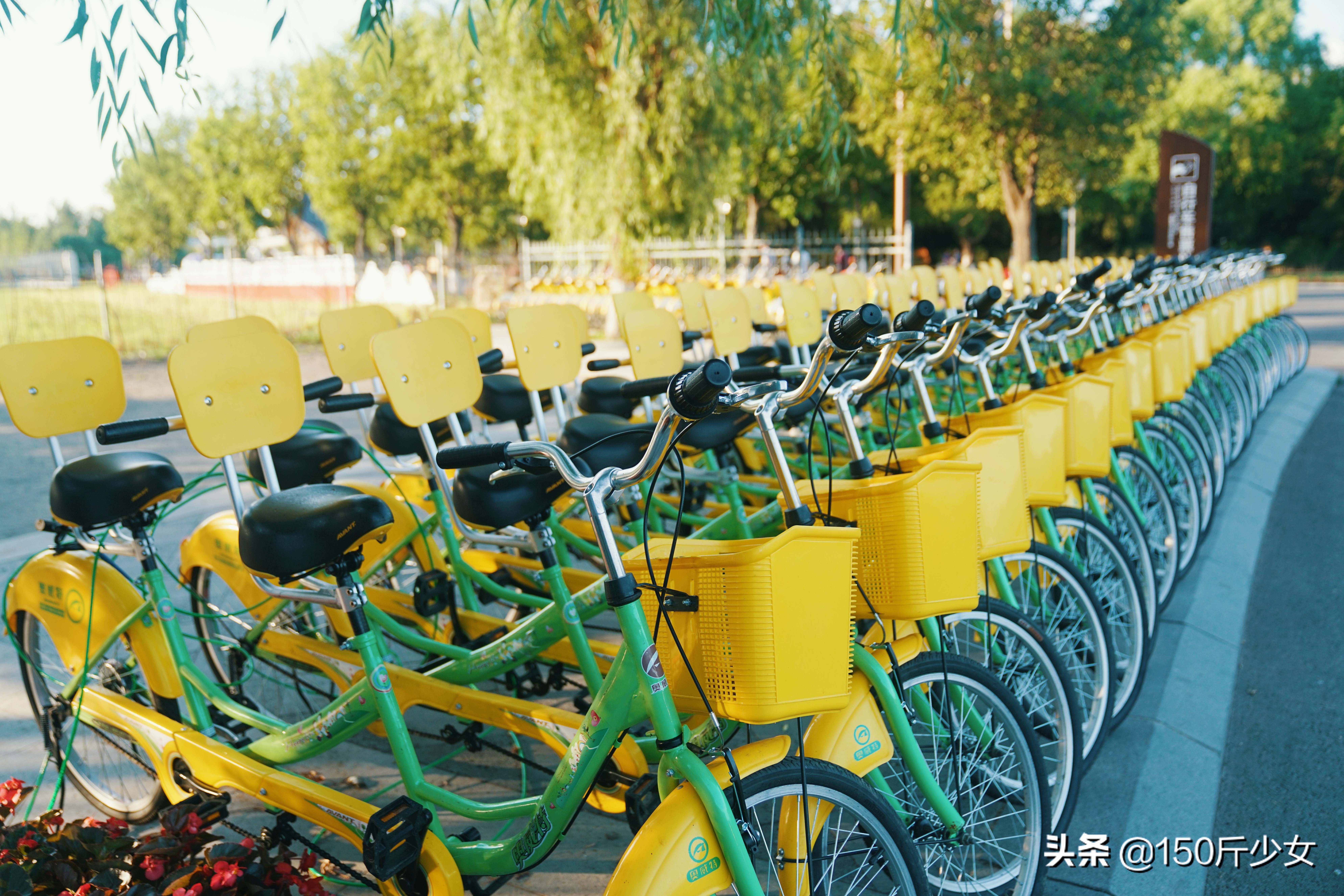 随心所欲玩转吉林！6天5晚人均1000自驾游，吉林现在也很美