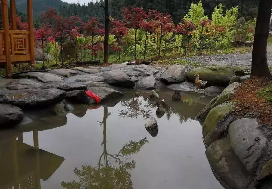 怀化农家乐和休闲农庄,怀化杨村甜蜜蜜农庄