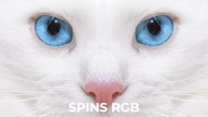 pr111500种效果视频转场特效制作色彩分离扭曲抖动音效资源