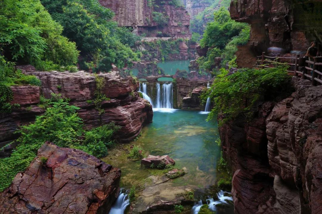 全国林草生物多样性保护成就展,林业生物多样性保护