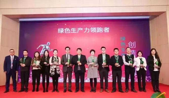 喜讯！高淳这家企业喜获“一带一路”绿色领跑者金人杯