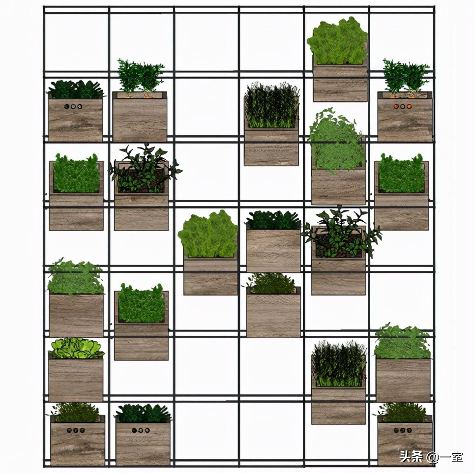 网红庭院植物搭配,网红绿植搭配技巧