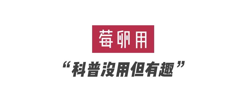 如何识别一个男的是否靠谱,怎么识别一个男人的本质