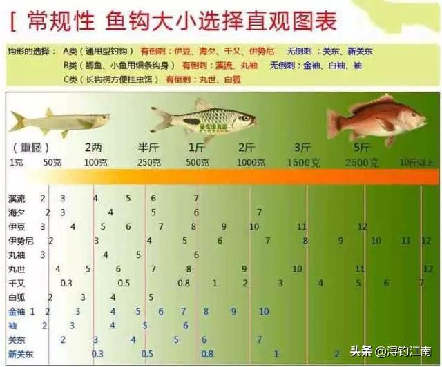 顶漂大幅顿口不中鱼什么原因,突然顶漂不中鱼怎样解决