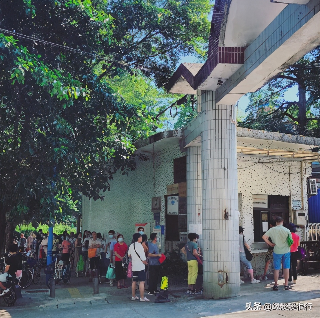 伊利金典娟姗纯牛奶冬日限定,a2纯牛奶和娟姗奶什么区别