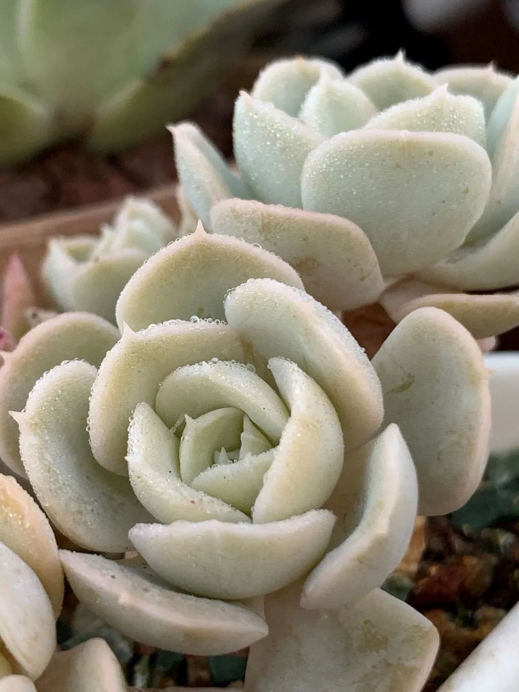 禁足的日子收获颇多,禁足