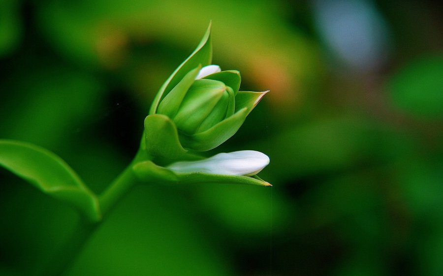第一次拜访客户领导谈话技巧,销售与陌生客户沟通技巧
