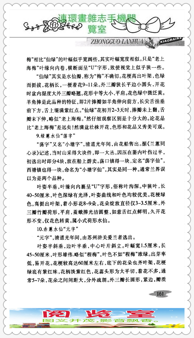 中国兰花的品种图片,中国兰花小百科书籍有哪些