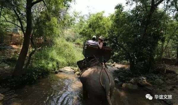 去清迈实用攻略大总结,去清迈旅游的注意事项