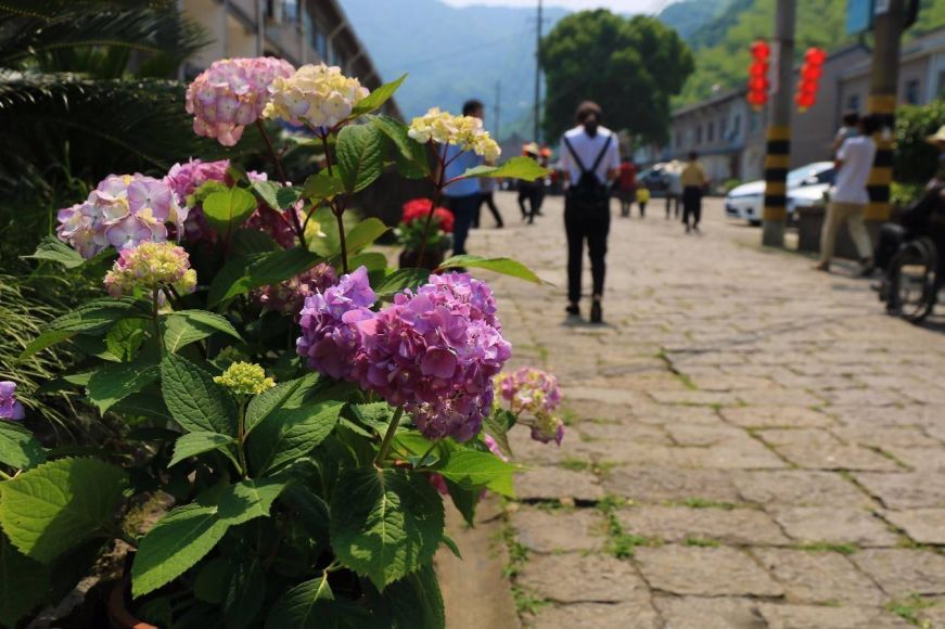 宁波美丽乡村旅游推荐,宁波热门的村