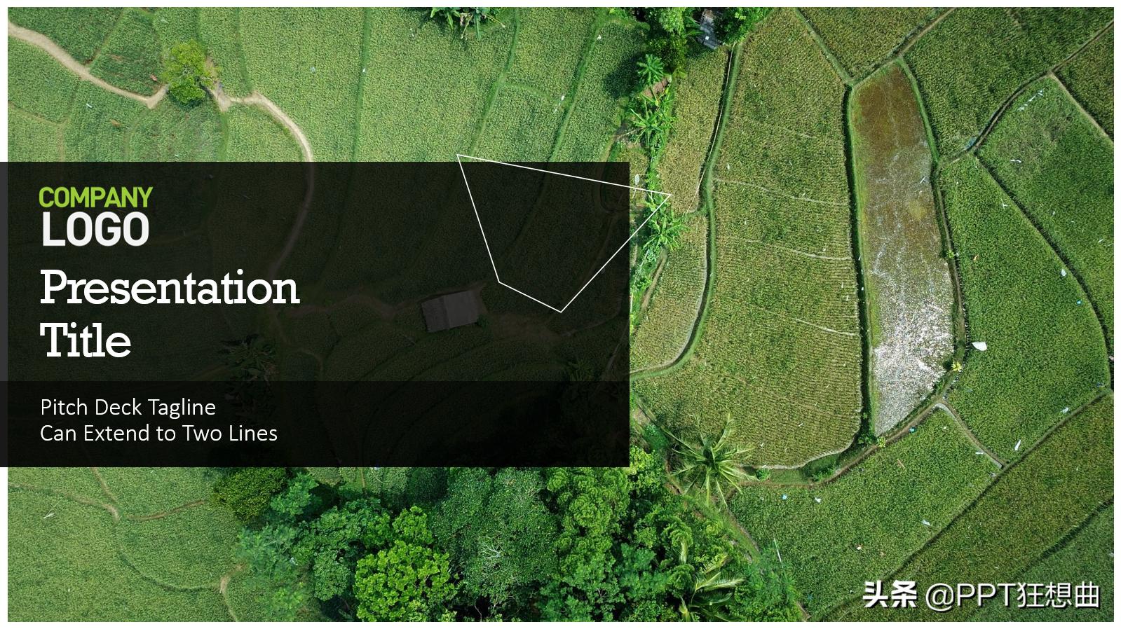 ppt免费模板微软官方,微软ppt模板如何免费使用