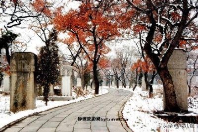 旅游｜一位全球巨星的家乡，一位文艺老人的一生