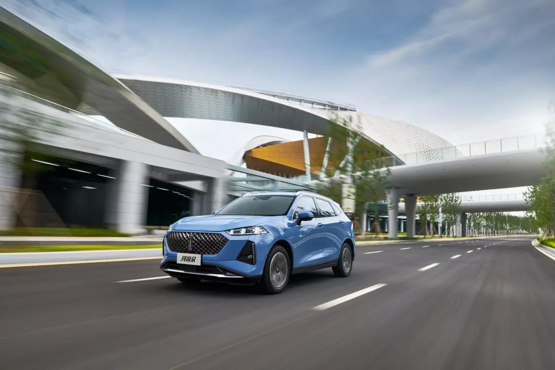 好一朵美丽的花,好一朵美丽的奇葩花