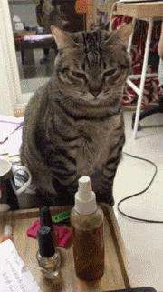 日本小哥吃零食,日本小哥吃垃圾食品