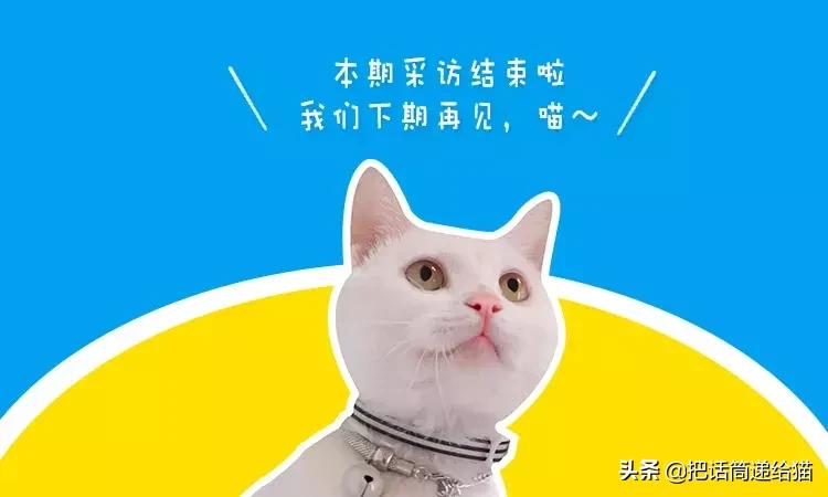 猫故事书籍,猫故事小说