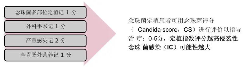 真菌培养及鉴定是阳性严重吗,怎么鉴别肺部真菌感染