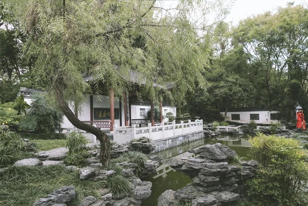 2021深圳免费适合遛娃玩地方排名,深圳免费游玩景点推荐