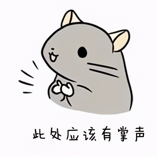 为什么必须要wps才能打开,为什么要推荐自己