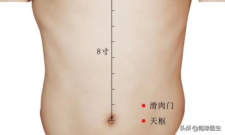 六脏六腑各有一募穴（二）