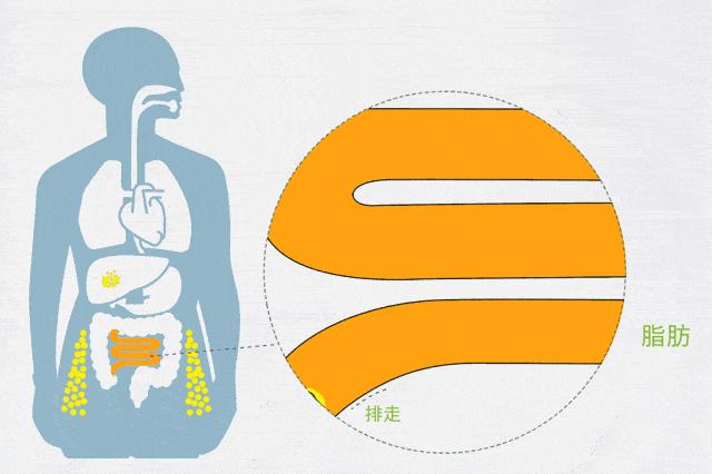 倩狐减肥100大秘密,倩狐减肥食疗