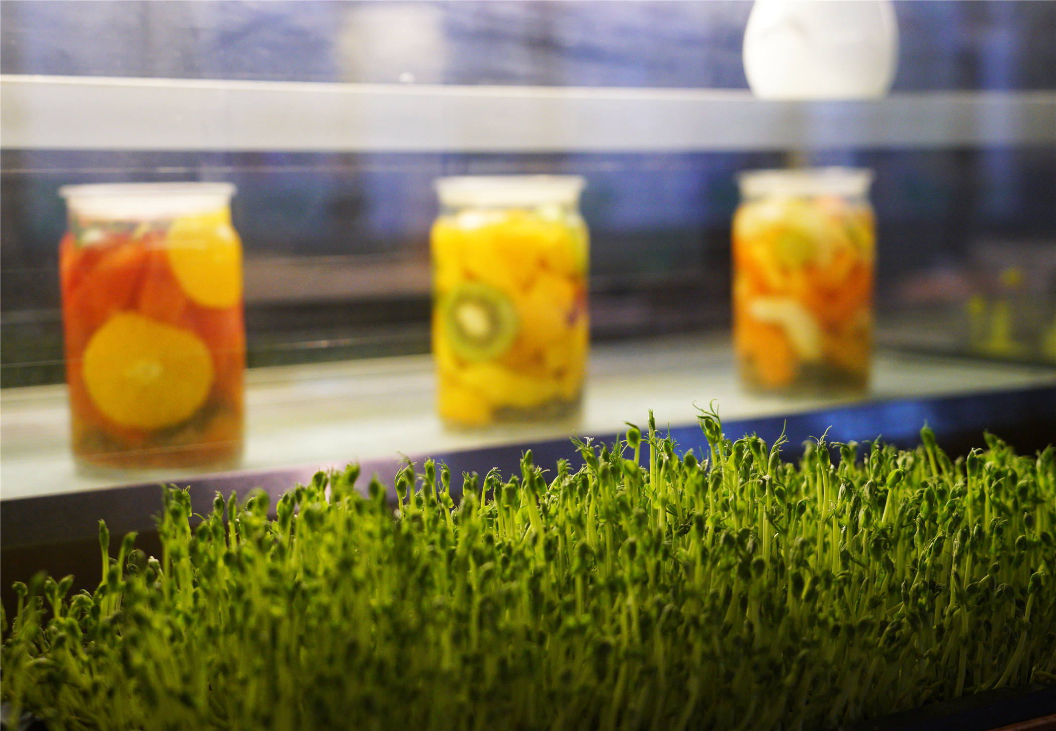 来三亚为什么不能吃椰子鸡,去三亚别忘了吃海鲜