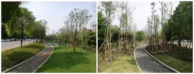 昆山2023小区改造,2023年昆山小区改造计划