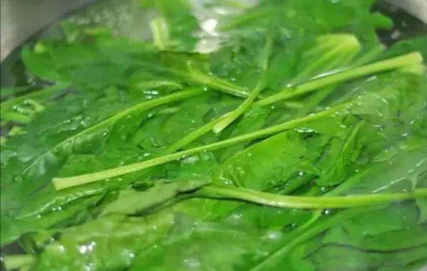 虾仁菠菜卷的做法大全,分子菜鲜虾仁菠菜卷如何做