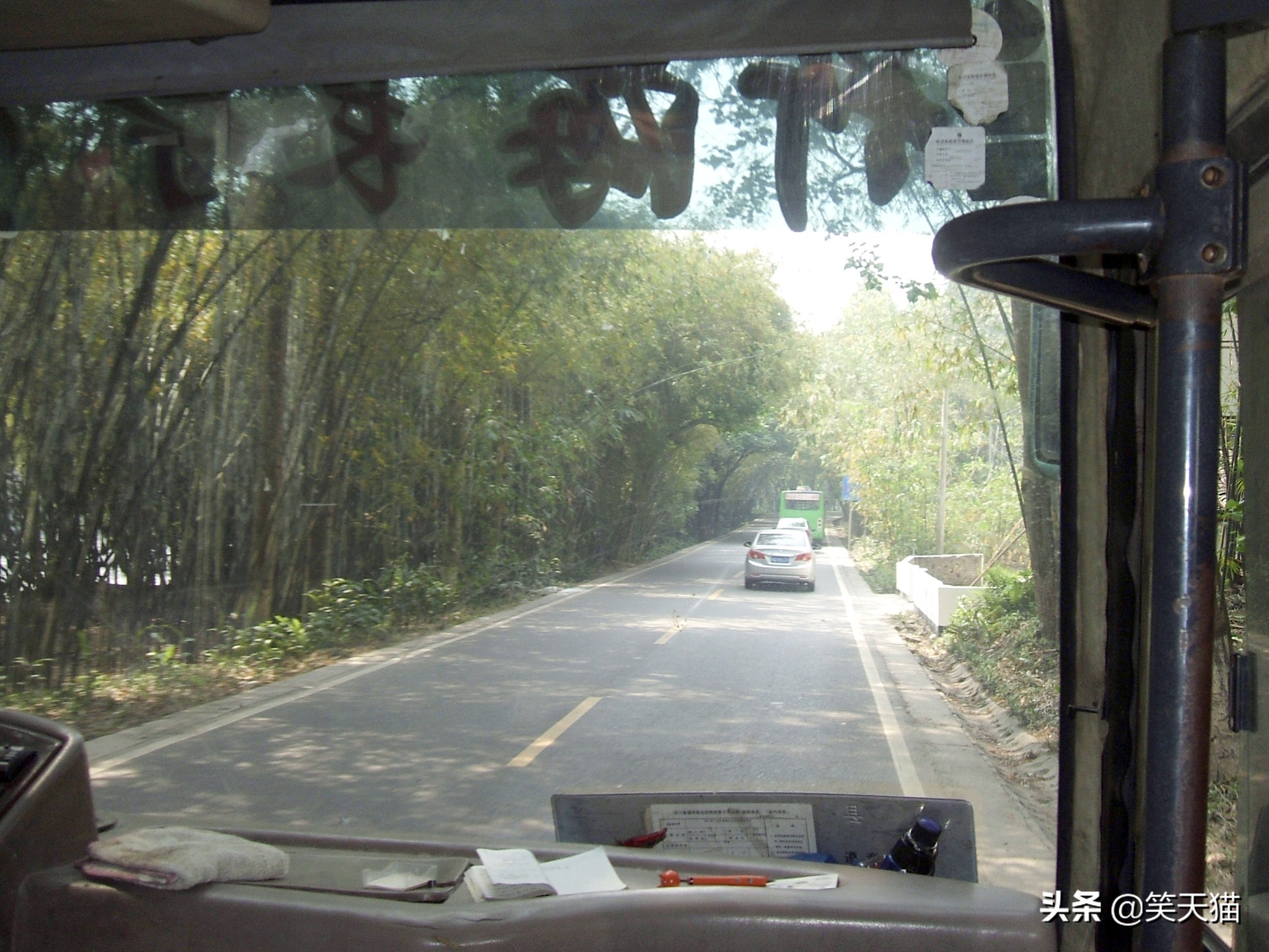 四川宜宾竹海风景,宜宾蜀南竹海全视频