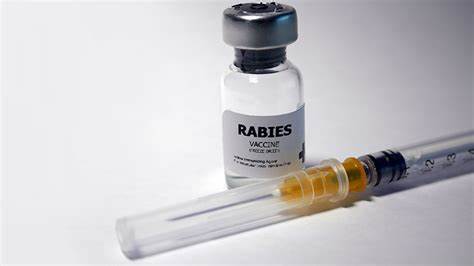 被狗咬了没出血需要打狂犬疫苗么,被狗咬了没出血要去打狂犬疫苗吗