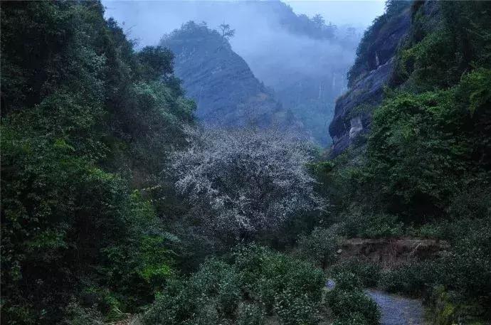 武夷山风景区民宿推荐价格表,武夷山山里民宿