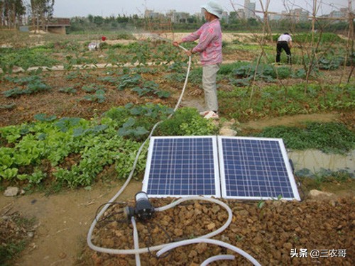农村现在发财致富项目有哪几种,在农村创业致富的好项目