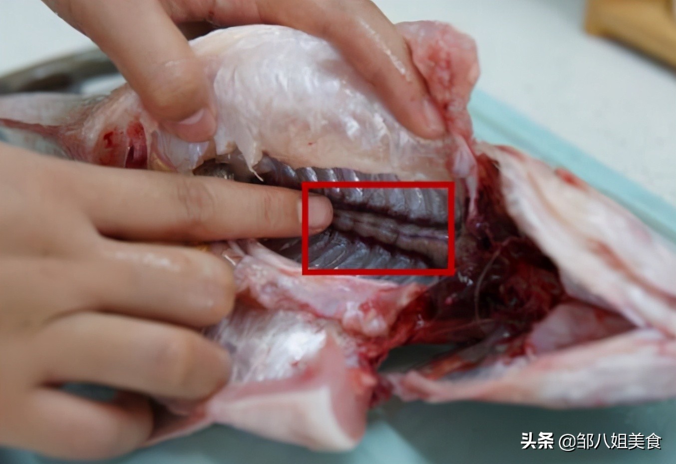 炖鱼怎么去鱼腥味最快最好方法,炖鱼放什么去腥味最快最有效