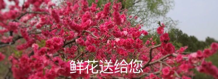 庆祝八一建军95周年,我们永远是祖国的兵舞蹈