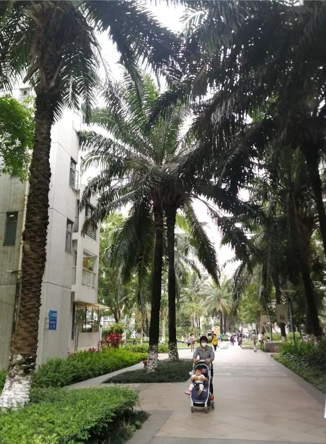 骞垮窞涓捣搴峰煄鎴夸环,娣卞湷涓捣搴峰煄鎴夸环