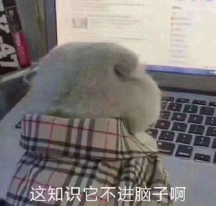 不一样的高考2020,不一样的高考