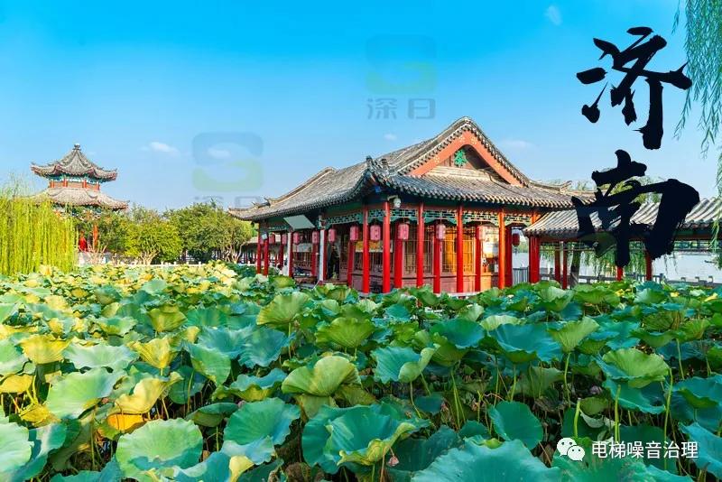 顶楼复式电梯噪音,顶楼不共墙的电梯噪音怎么解决