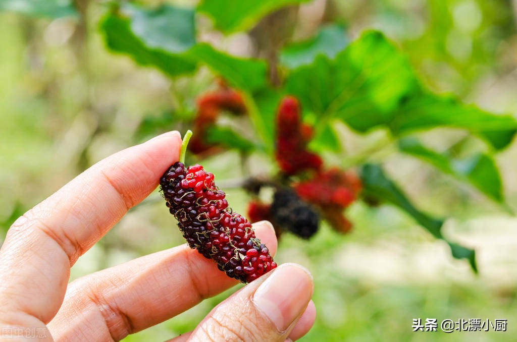6月份吃什么水果推荐9种时令水果,又脆又甜7月最不容错过的水果