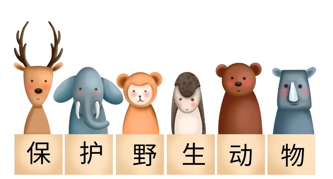 世界环境日|龙江检察：打出公益诉讼组合拳织密野生动物保护防护网