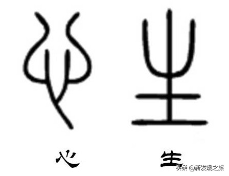 如果没了人类世界有多可怕,如果没了道德人会怎么样