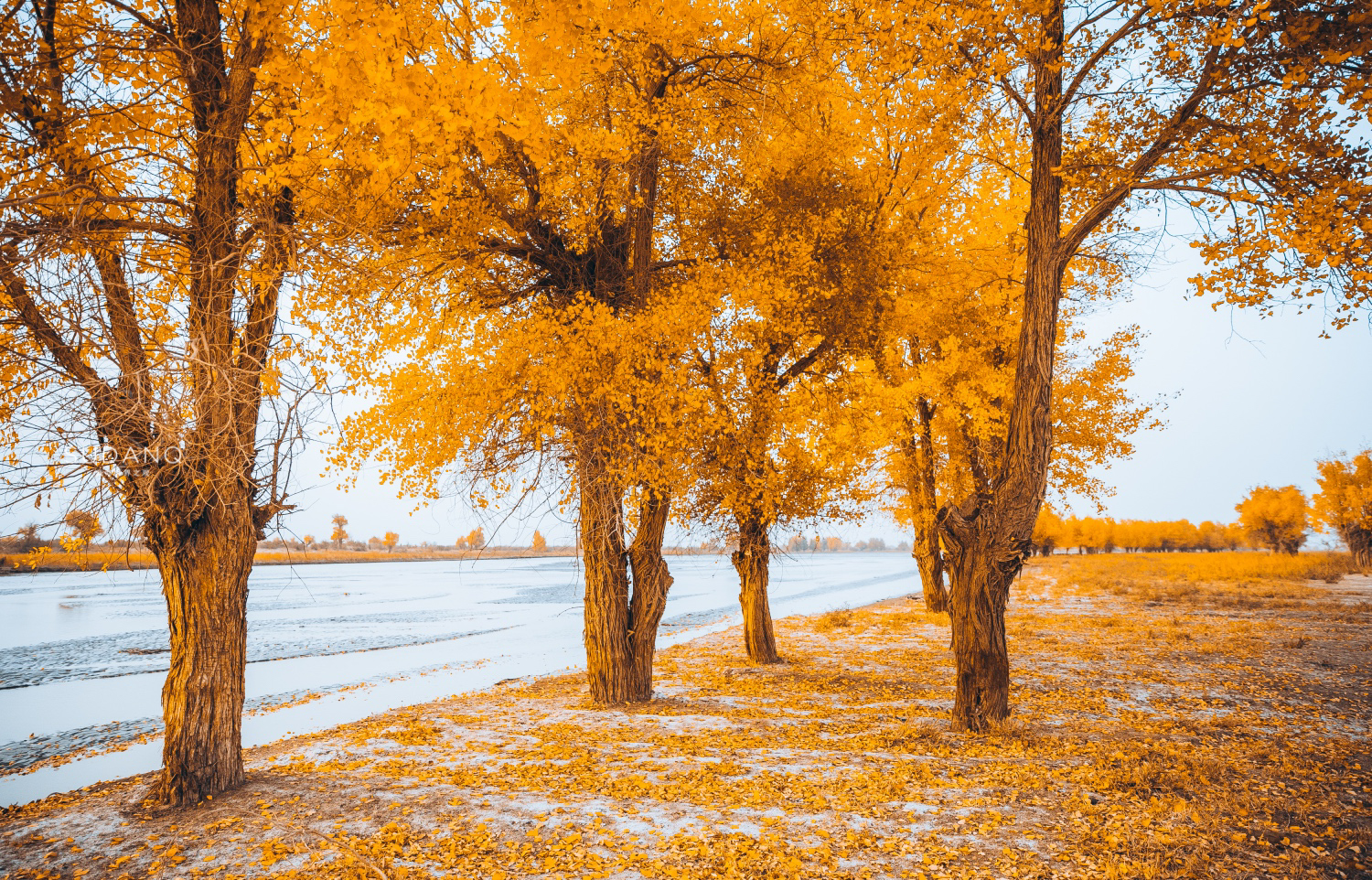 楼兰的消失之谜全集,楼兰古国的消失之谜